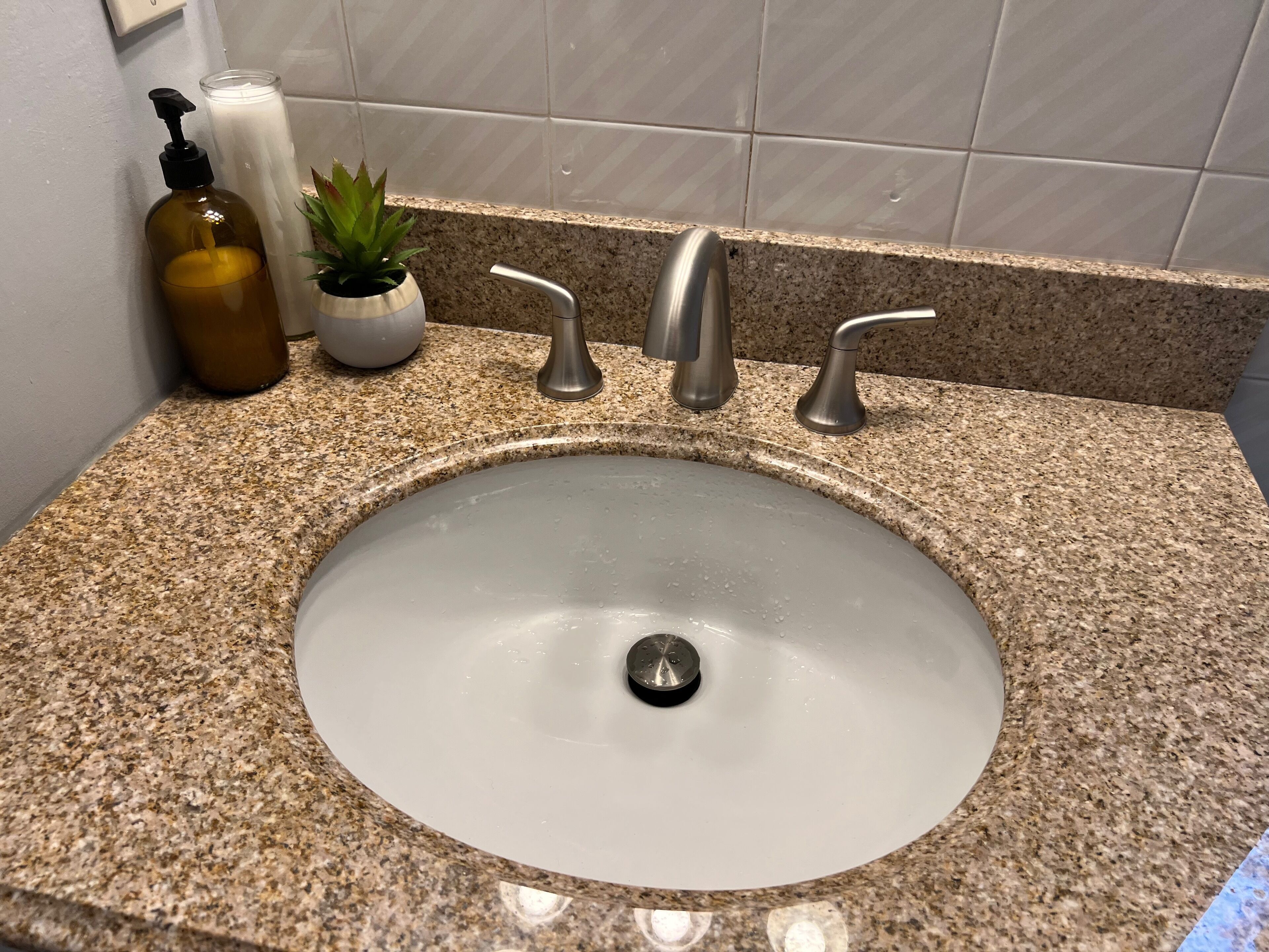 A bathroom sink with a granite countertop, a potted plant, and a bottle of hand soap.