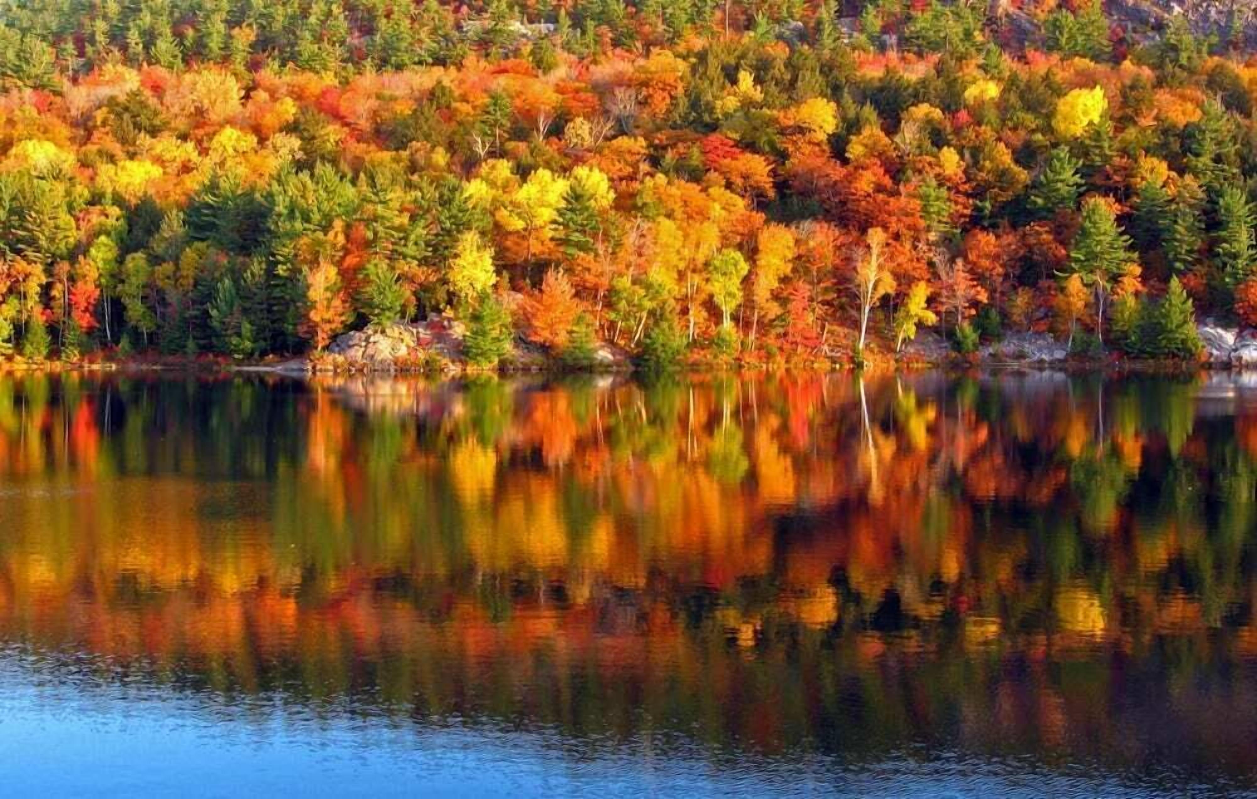 A serene lake surrounded by dense forest with autumn foliage.