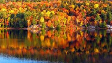 A serene lake surrounded by dense forest with autumn foliage.