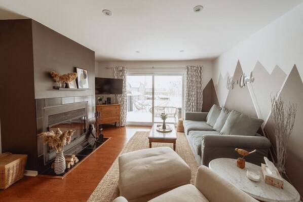 TV, fireplace, books