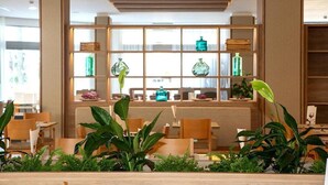A modern interior with wooden furniture, green plants, and shelves with decorative items.