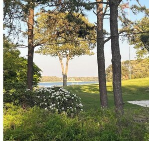 Surrounded by lush trees and a well-manicured lawn, this serene setting offers scenic views of a tranquil body of water.