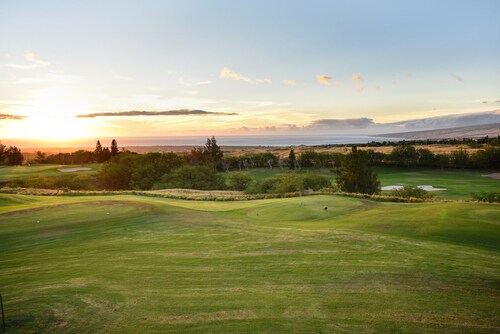The Best Ocean View in Waikoloa Village!!