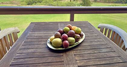 The Best Ocean View in Waikoloa Village!!