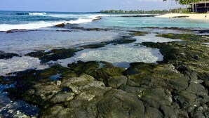 Uma costa rochosa com águas cristalinas, uma praia de areia e palmeiras ao fundo.