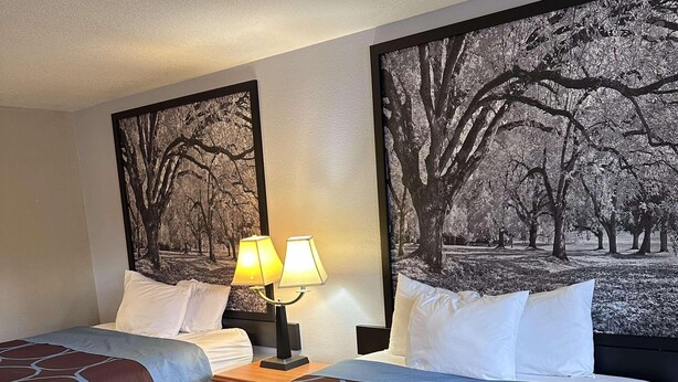 Una habitación de hotel con dos camas, una mesita de noche con lámparas y grandes cuadros enmarcados con imágenes de árboles en las paredes.