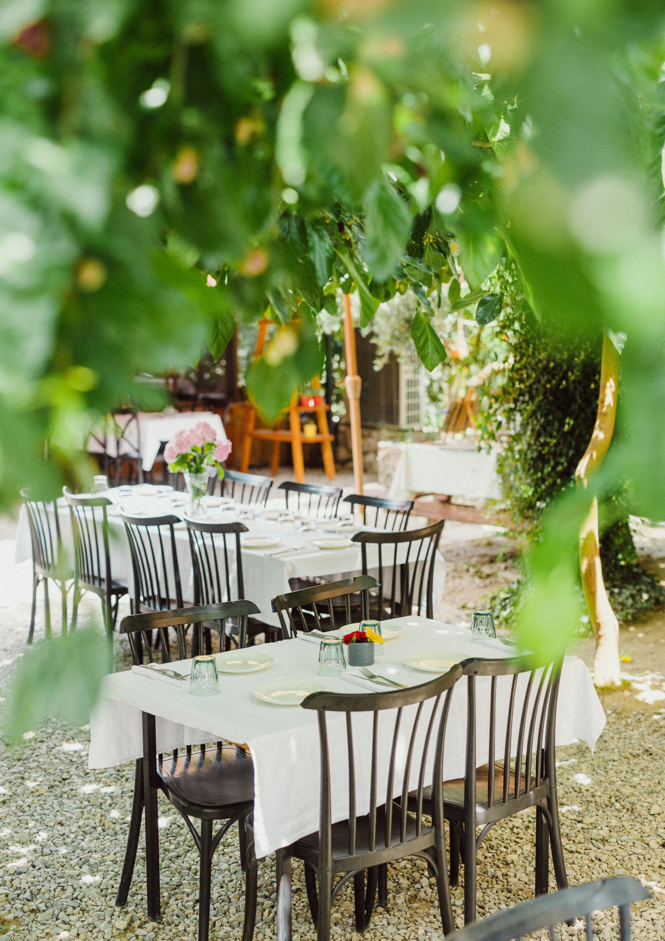 An outdoor dining area with tables set for guests, surrounded by greenery.