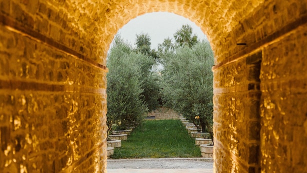A stone pathway leading through an arched tunnel with a grassy area visible beyond. - Blerina's Village Project  (Kamëz)