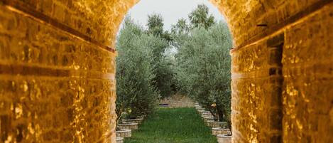 Deluxe-Suite, 1 Schlafzimmer, Gartenblick | Fassade der Unterkunft