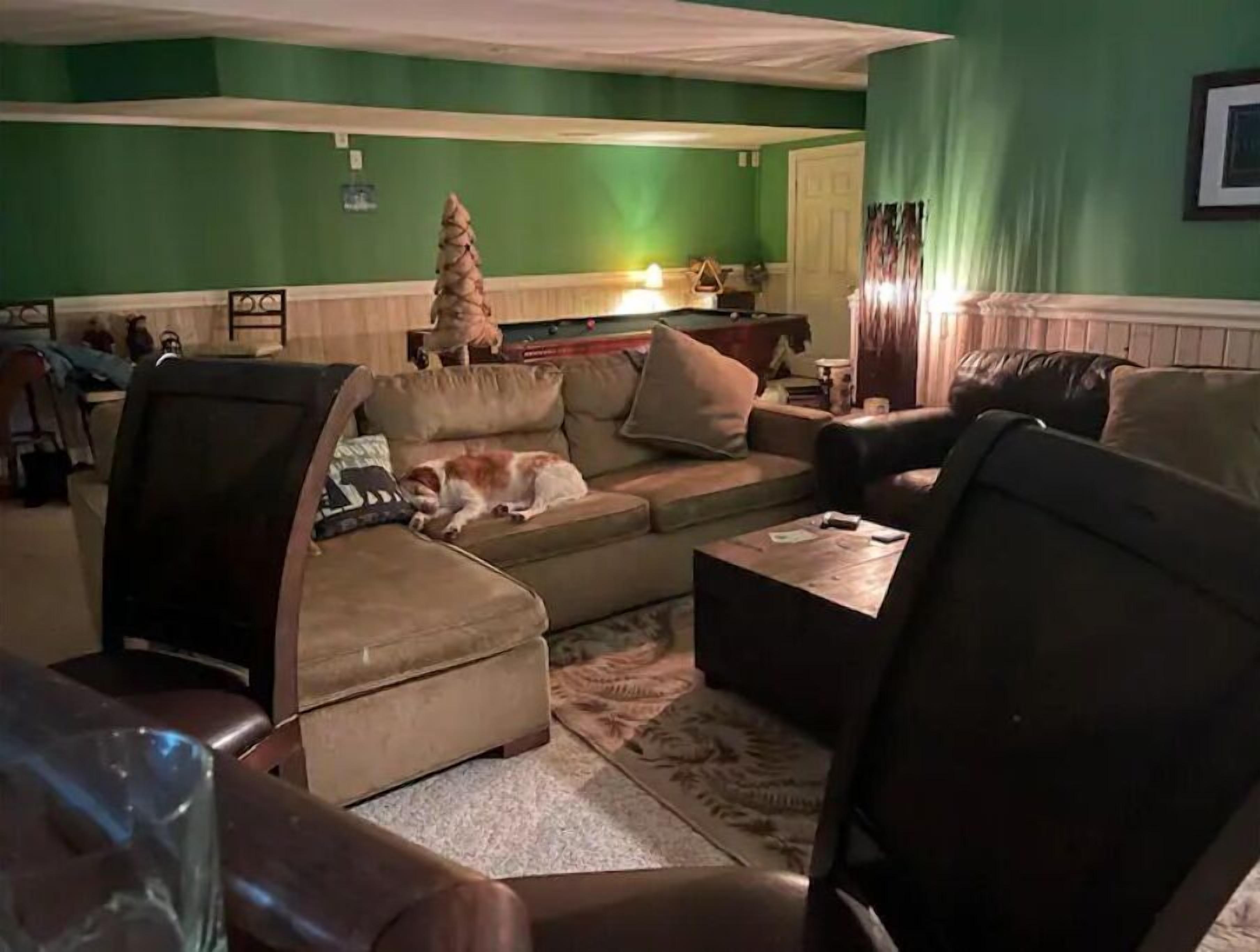 A living room with a sofa, chairs, a coffee table, and a Christmas tree.