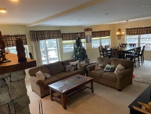 Smart TV, fireplace, DVD player, books