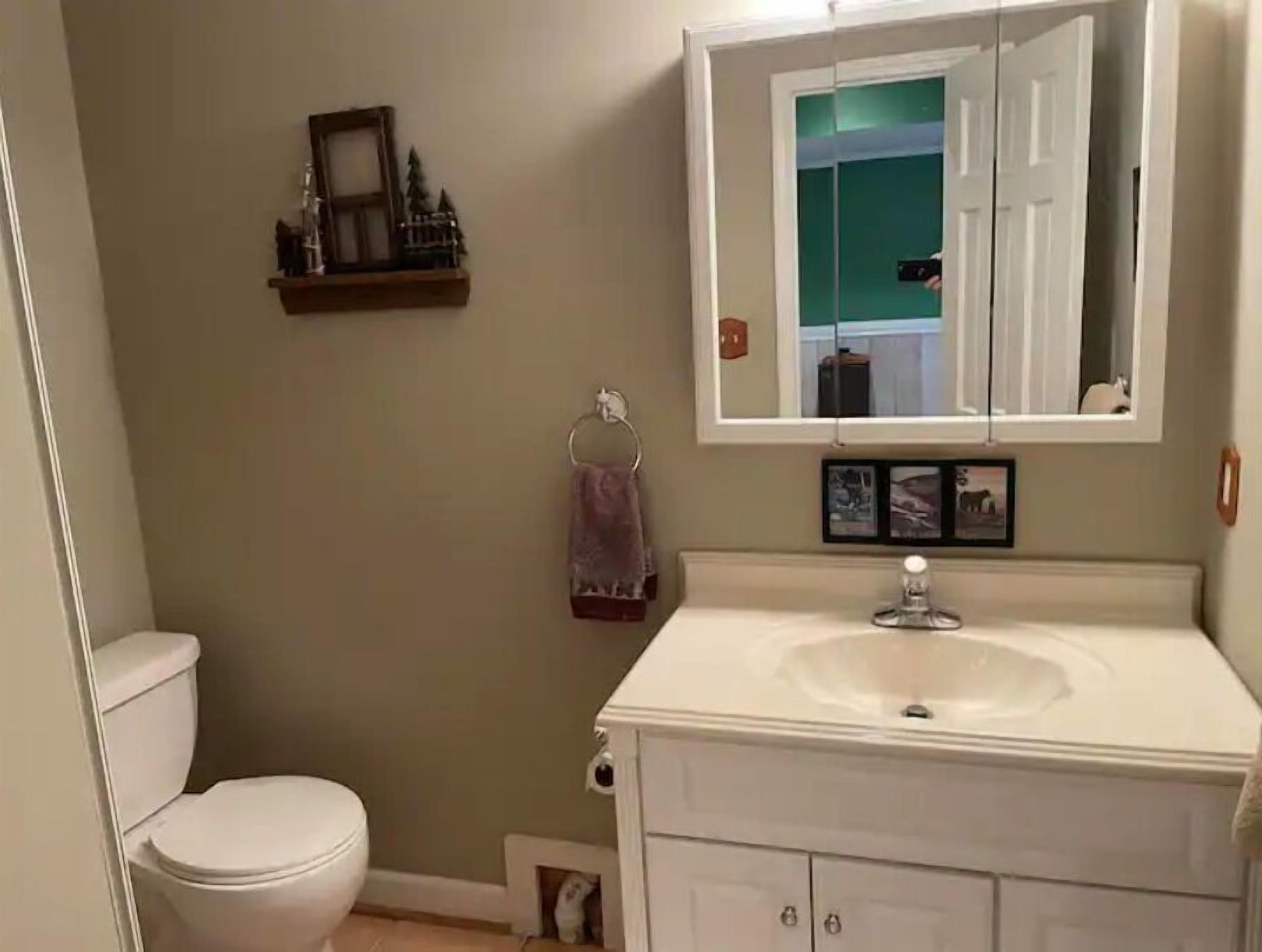 Une salle de bain avec des toilettes, un lavabo et un miroir. Il y a une étagère au-dessus du lavabo, sur laquelle sont posés un tableau encadré et une petite plante.