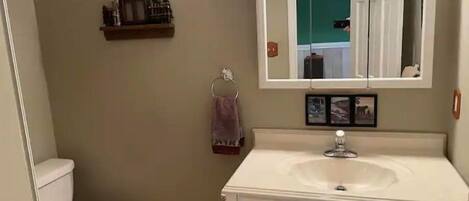 Une salle de bain avec des toilettes, un lavabo et un miroir. Il y a une étagère au-dessus du lavabo, sur laquelle sont posés un tableau encadré et une petite plante.