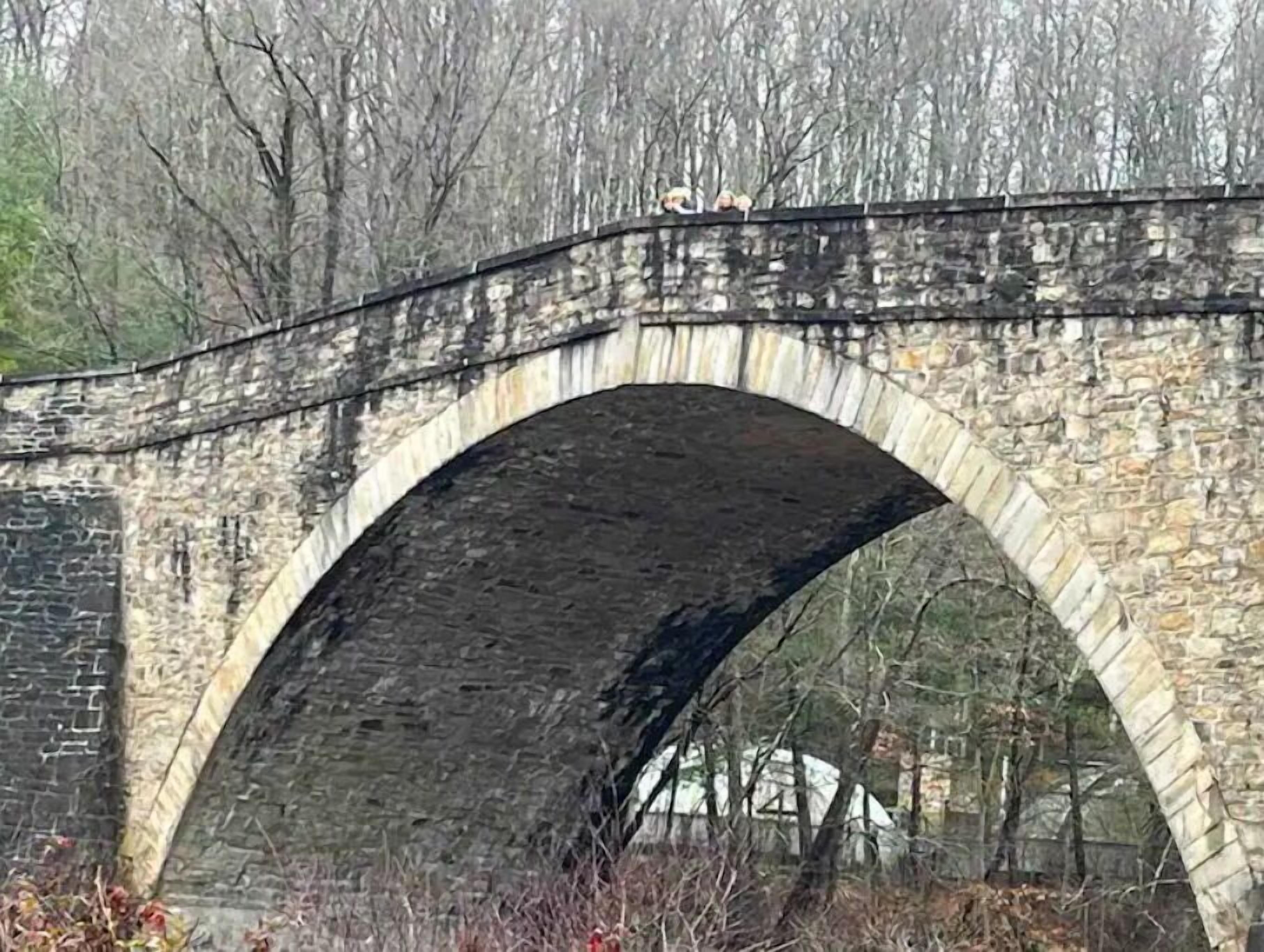 Un pont en pierre à arc, entouré d’arbres.