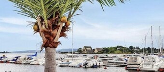 Spacious & stylish apartment in Oslo-Supercentral