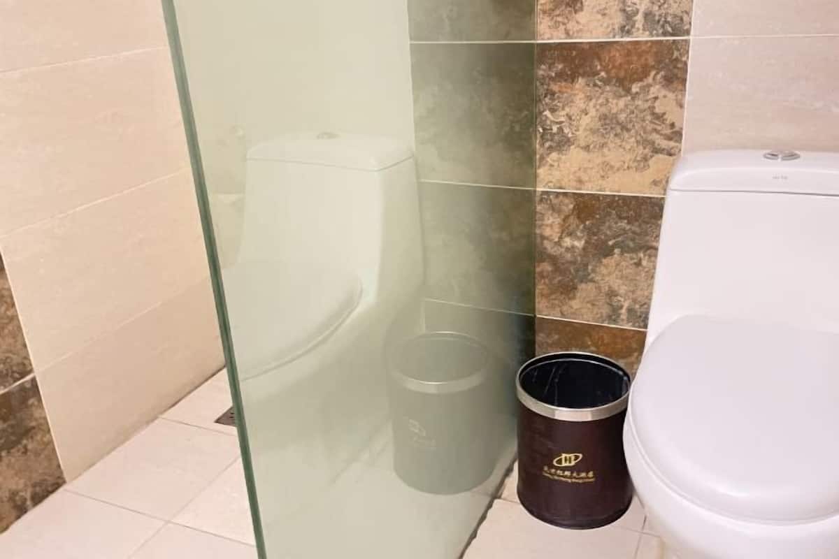 Ein Badezimmer mit Duschkabine aus Glas, Toilette und Mülleimer.