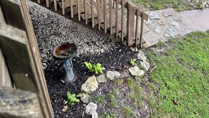 A wooden deck with a metal railing, a bird bath, and a rocky area with sparse vegetation. - Lake Front Cabin in Quiet Cove (Stover)