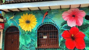 Un edificio con un murale di fiori e uccelli grandi, una porta marrone e una finestra con inferriate.
