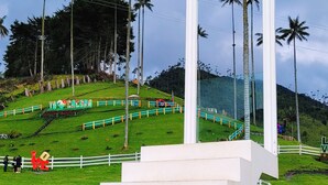 Una scala conduce a una struttura bianca con superficie riflettente, immersa in un’area erbosa con palme e un paesaggio collinare sullo sfondo.