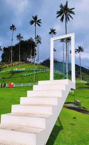 Property grounds - Apartment near Parque del Café, Panaca, Valle del Cocora. (Montengro)