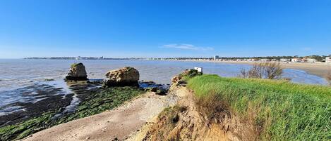 بالقرب من الشاطئ