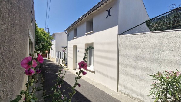 Eine enge Straße mit weißen Gebäuden, blauem Himmel und rosafarbenen Blumen am Wegesrand.