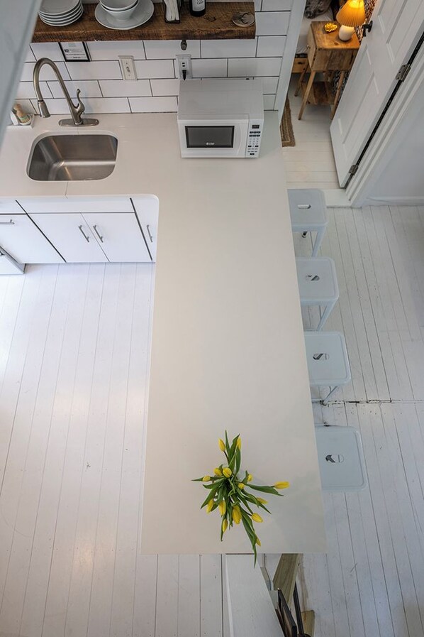 A modern kitchen with white cabinetry, a stainless steel sink, a microwave, and a potted plant on the counter.