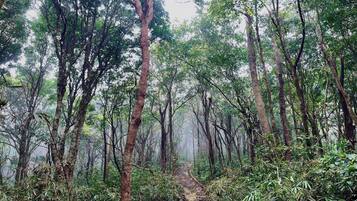 Hiking