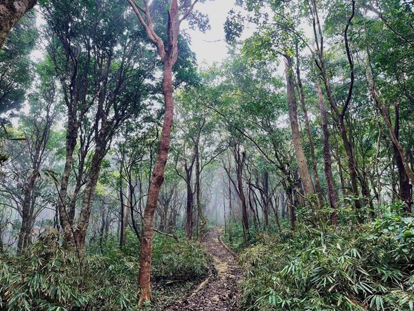 Hiking