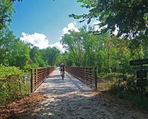 Cyclists and pedestrians can cross this wooden bridge through the dense forest.