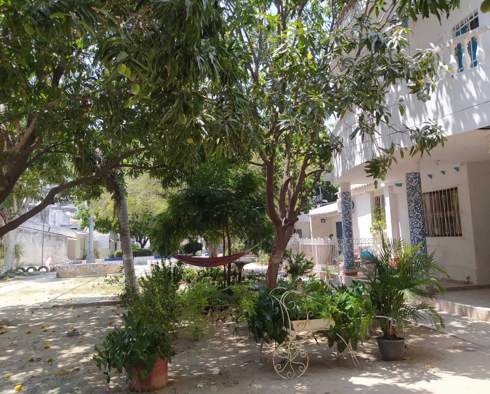 A courtyard with potted plants, a hammock, and a white building with blue accents.