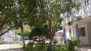A courtyard with potted plants, a hammock, and a white building with blue accents. - APARTMENT WITH BALCONY ECONOMIC, QUIET, IN COUNTRY HOUSE NEAR THE SEA (SANTA MARTA)