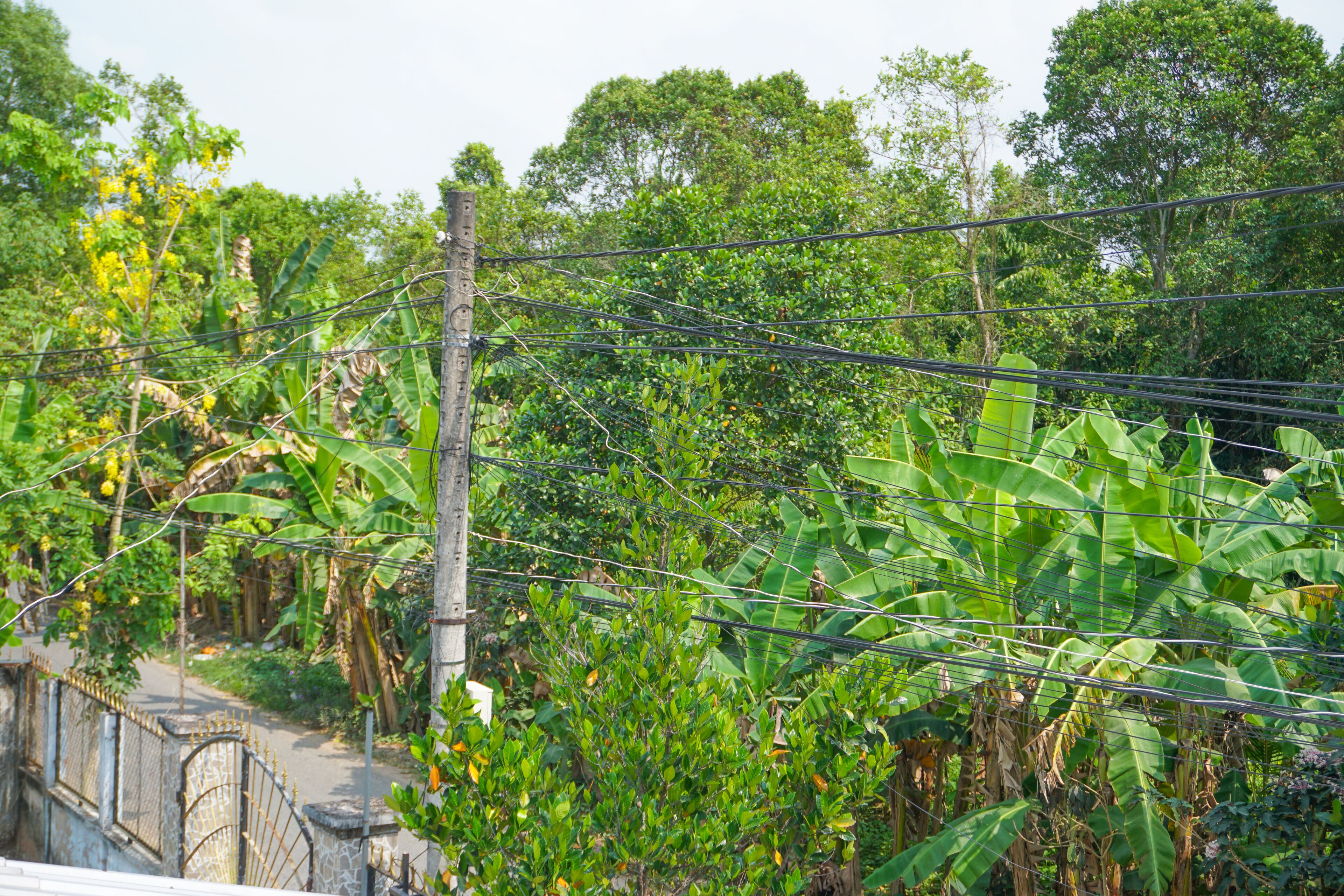 economy studio | garden view