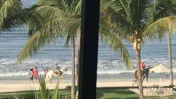 On the beach