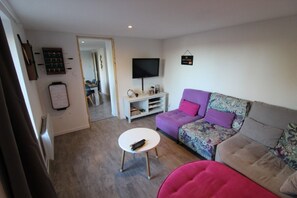 Télévision, lecteur de DVD, livres