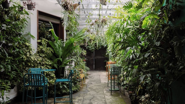 A greenhouse with various plants, chairs, and a concrete floor. - Snooze Hostel Malang (Malang)