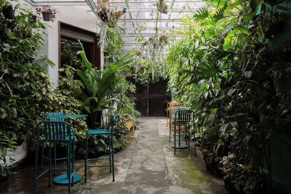 Snooze Hostel Malang