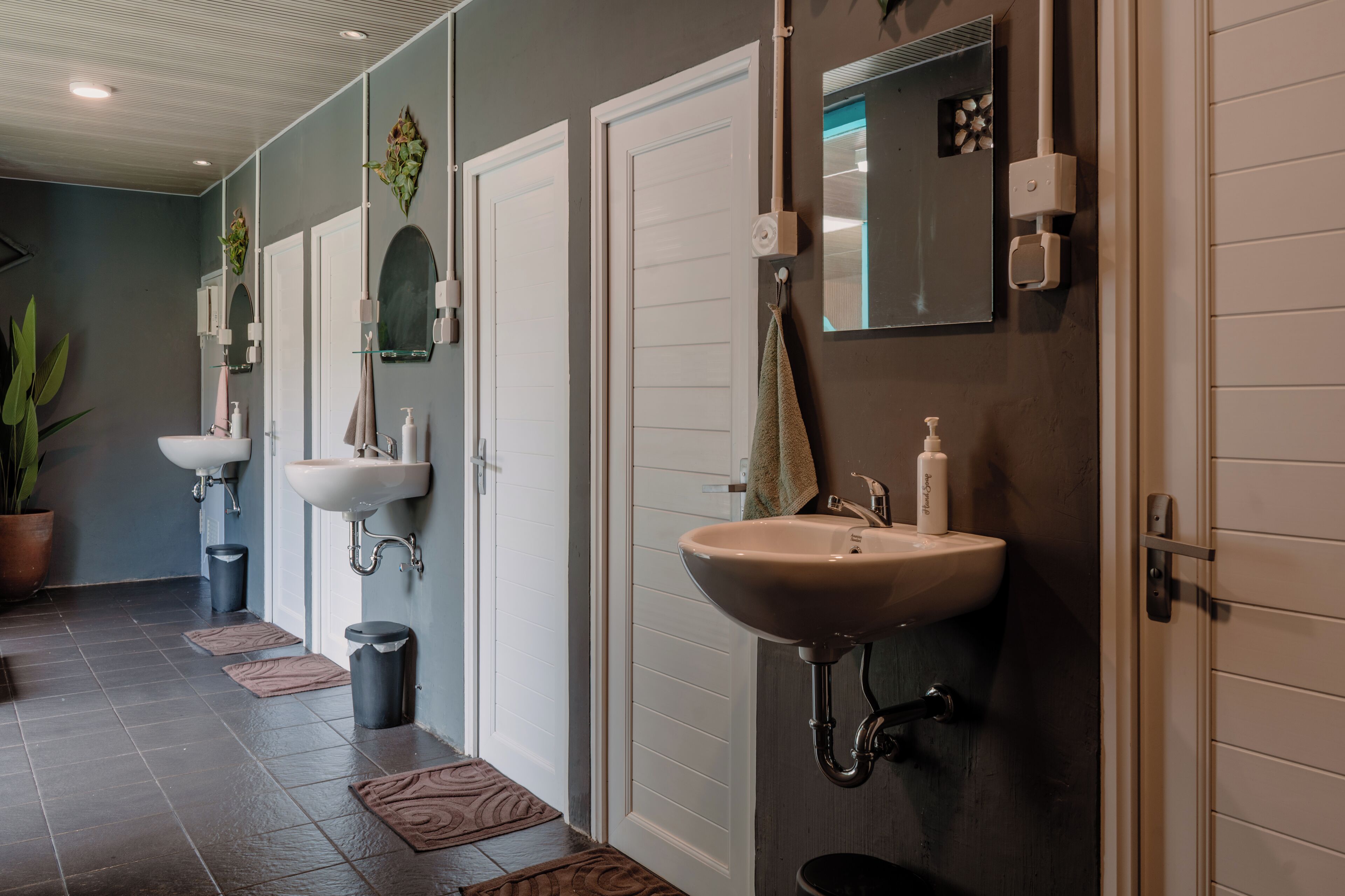A bathroom with three sinks, a mirror, and a potted plant.