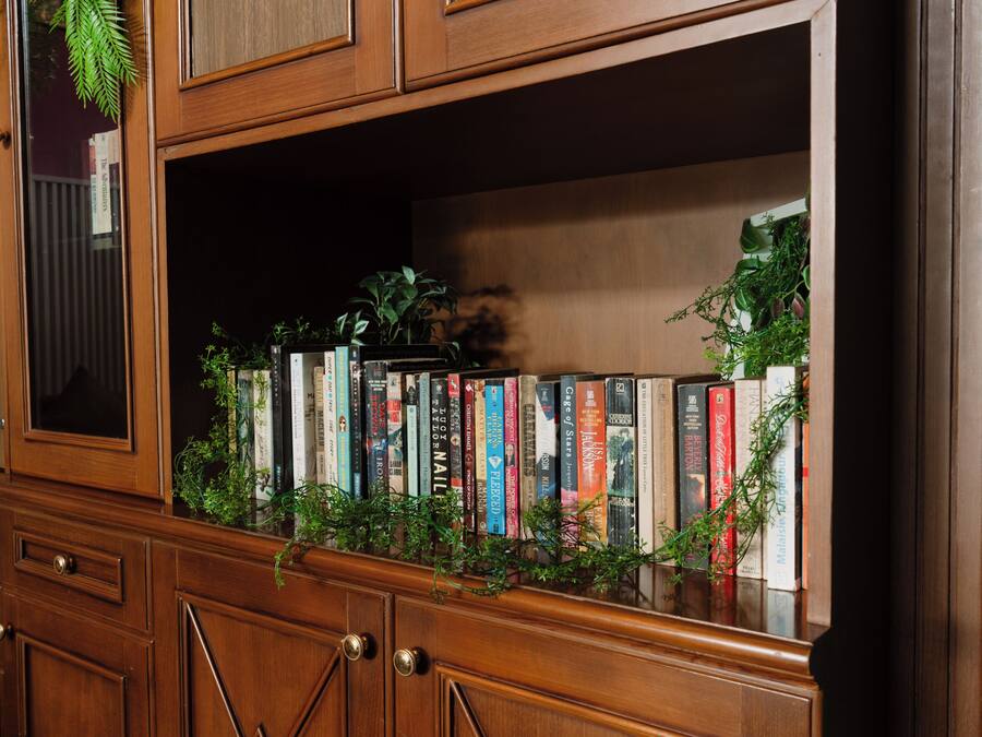 Una estantería de madera con varios libros y pequeñas plantas.