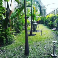 A lush garden with various plants and a large decorative vase.