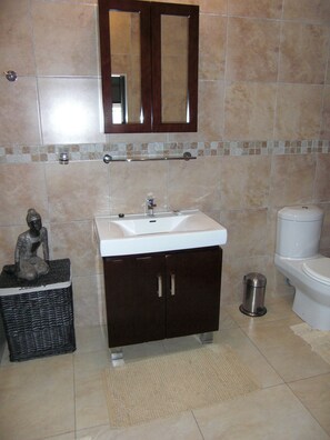 Shower, rainfall showerhead, free toiletries, hair dryer - Shamba Lodge (Kitwe)