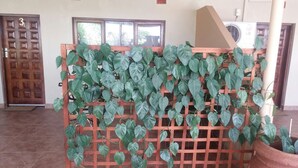 A room with a wooden door marked '3', a window, and a potted plant. - Shamba Lodge (Kitwe)