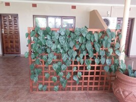 Una habitación con puerta de madera marcada con el número 3, una ventana y una planta en maceta.