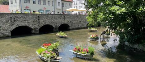 المنطقة المحيطة بالمنشأة