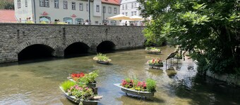 Apartment 'Ferienwohnung Beyer Friedrichroda' with Private Terrace, Private Garden and Wi-Fi