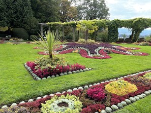 Área da propriedade