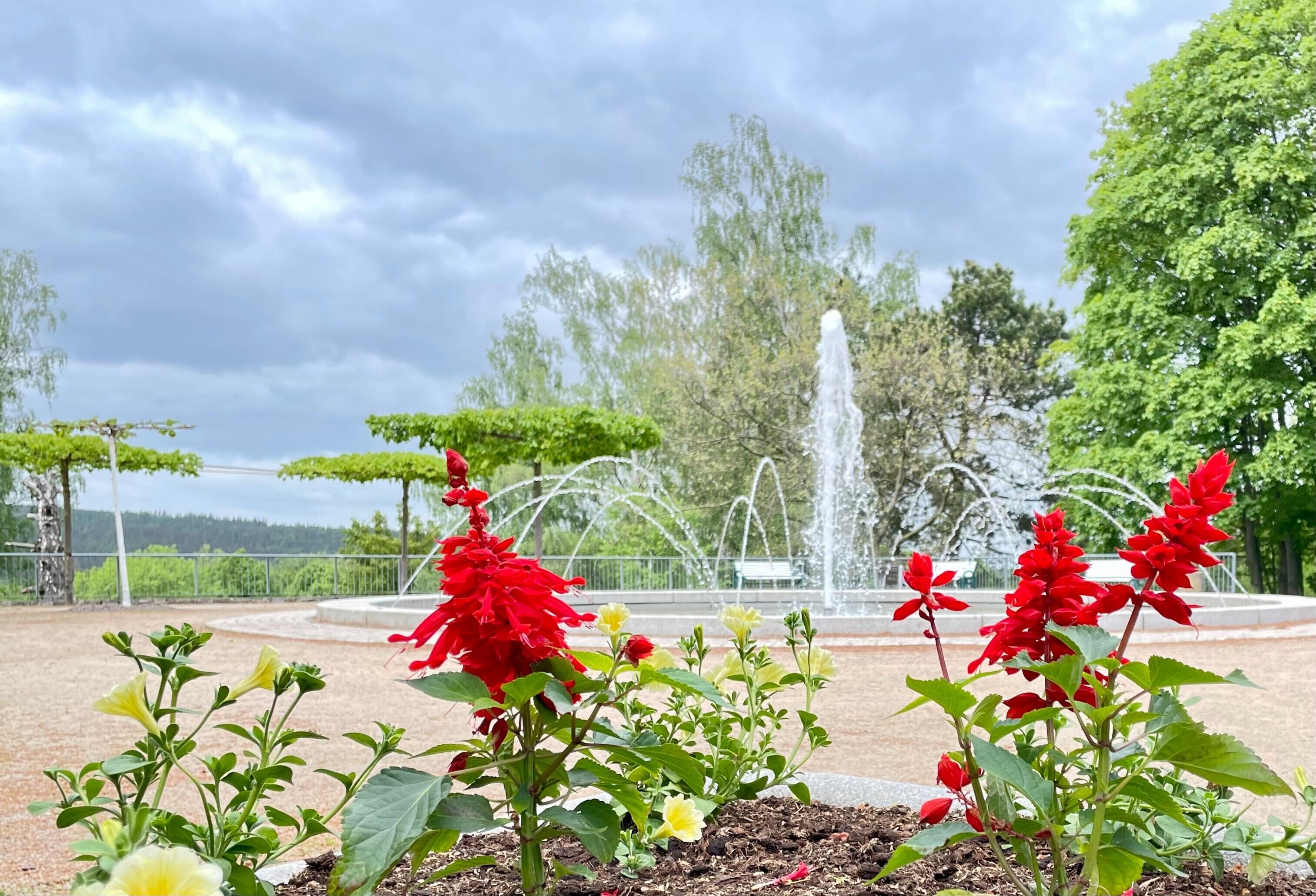 A garden with a fountain, red flowers, and green trees.