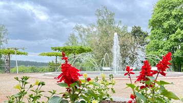 A garden with a fountain, red flowers, and green trees.