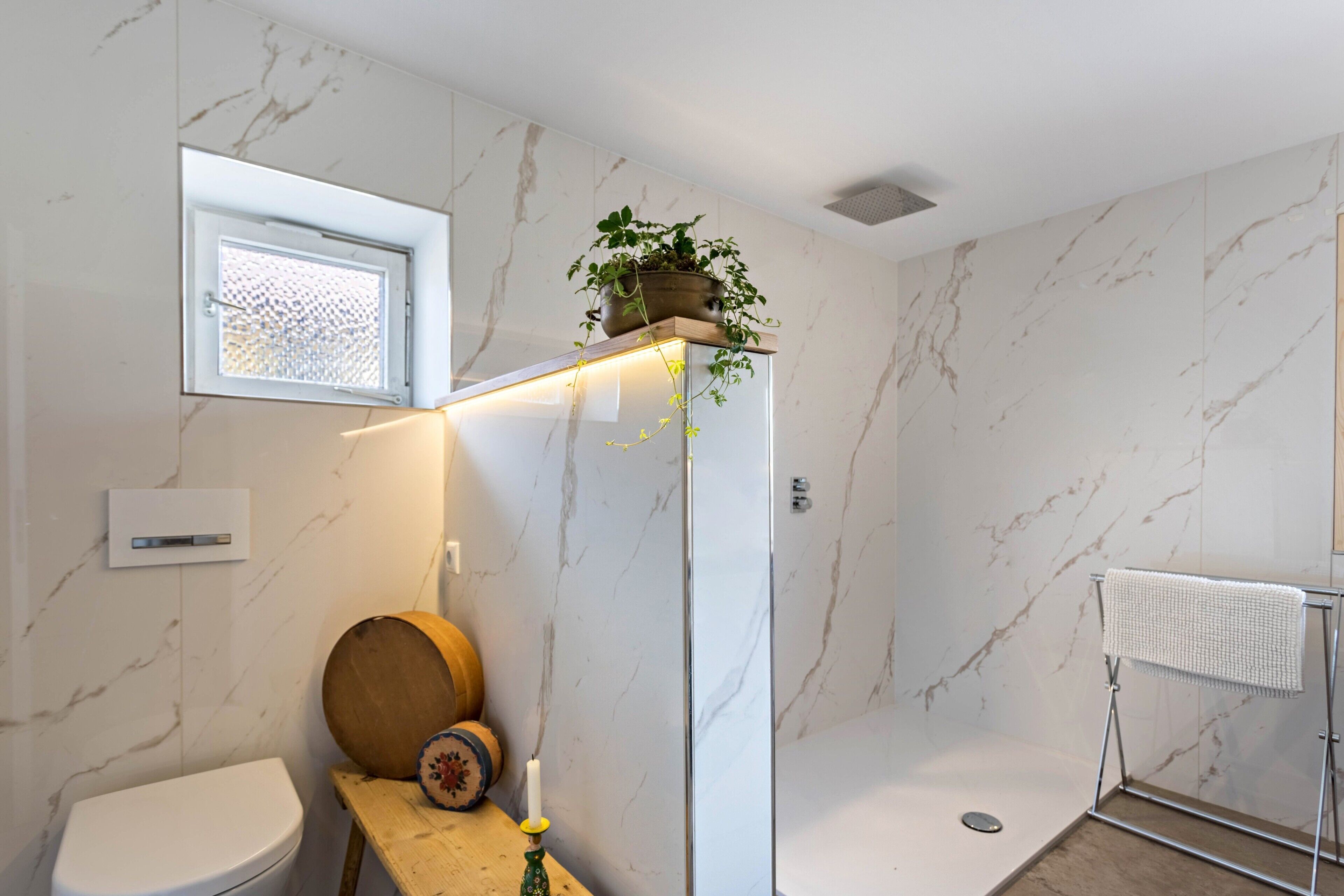 Ein Badezimmer mit Toilette, Dusche, Handtuchhalter, einem Fenster und einer Pflanze.