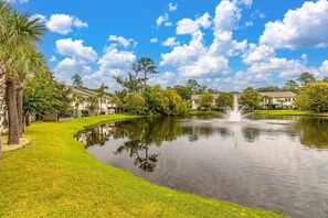 Property grounds - Close to Island Amenities (Saint Simons Island)